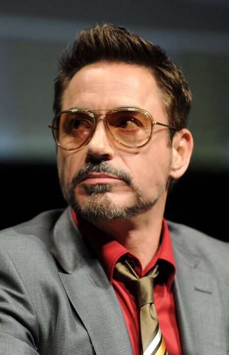 Robert Downey Jr 03